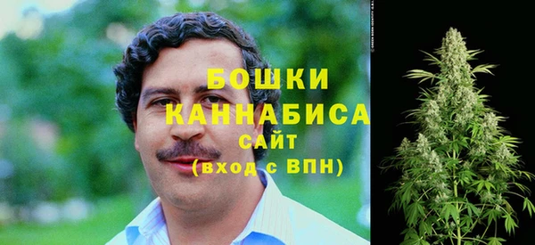 тгк Вяземский