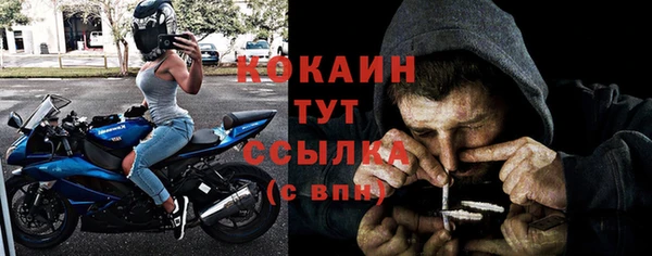 ALPHA PVP Богородск
