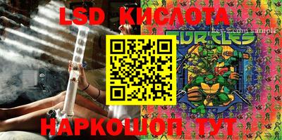 шишки Будённовск