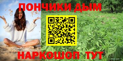 стаф Берёзовский