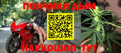 шишки Будённовск