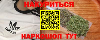 шишки Будённовск