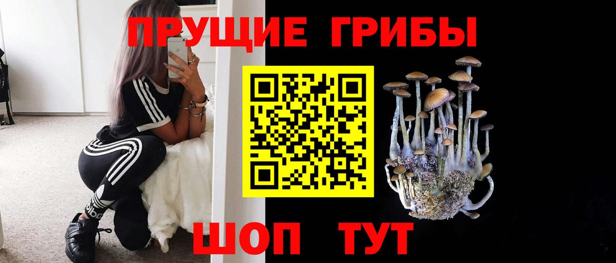 Гудермес  купить закладку  Вход с VPN  Псилоцибиновые грибы Psilocybine cubensis 