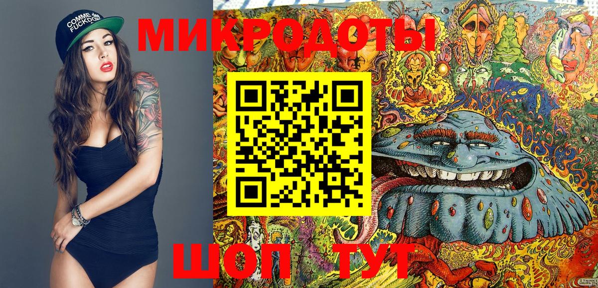 закладки  Гудермес  Галлюциногенные грибы мицелий 