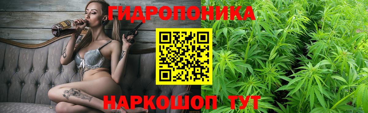 МАРИХУАНА Bruce Banner Гудермес